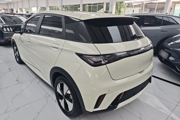 Used BYD Dolphin 2023 420 km Fashion Edition Rear Left 45 Deg