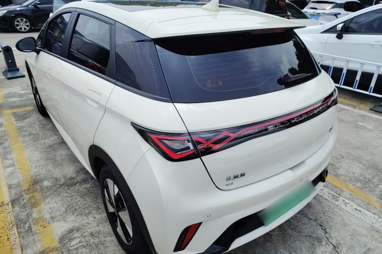 Used BYD Dolphin 2023 420 km Fashion Edition Rear Left 45 Deg