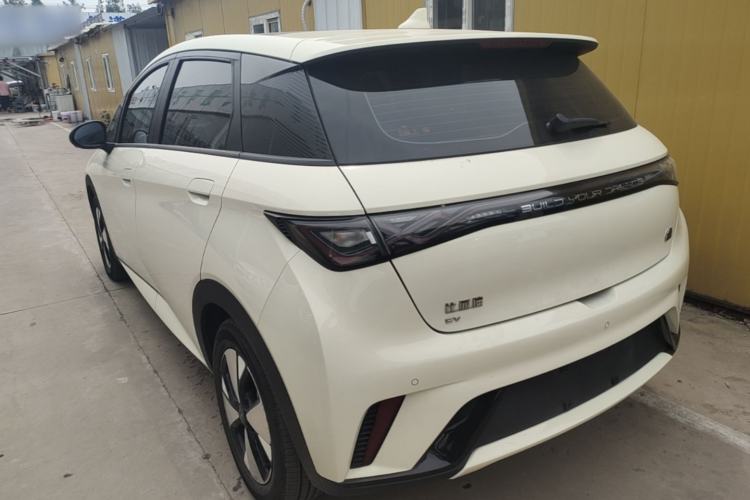 Used BYD Dolphin 2023 420 km Fashion Edition Rear Left 45 Deg