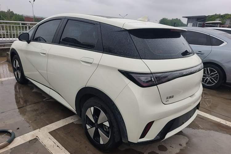 Used BYD Dolphin 2023 420 km Fashion Edition Rear Left 45 Deg