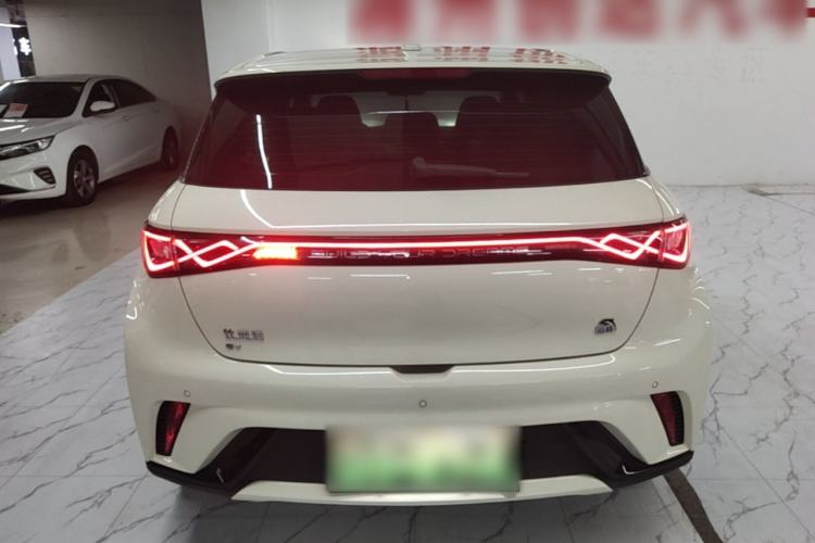 Used BYD Dolphin 2023 420 km Free Version Rear