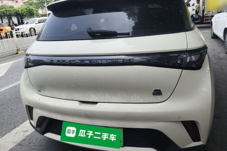 Used BYD Dolphin 2023 420 km Fashion Edition Rear