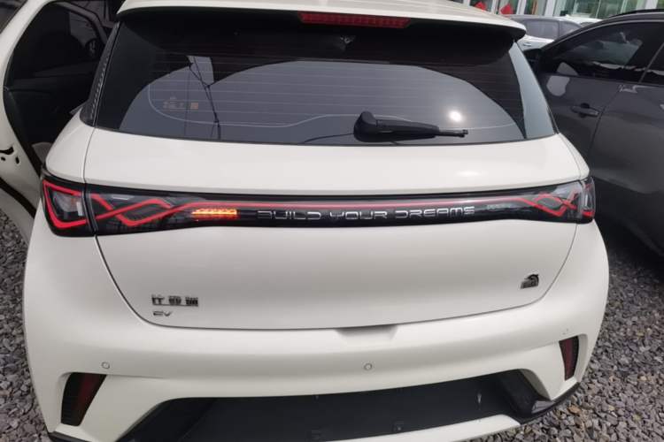 Used BYD Dolphin 2023 420 km Free Version Rear