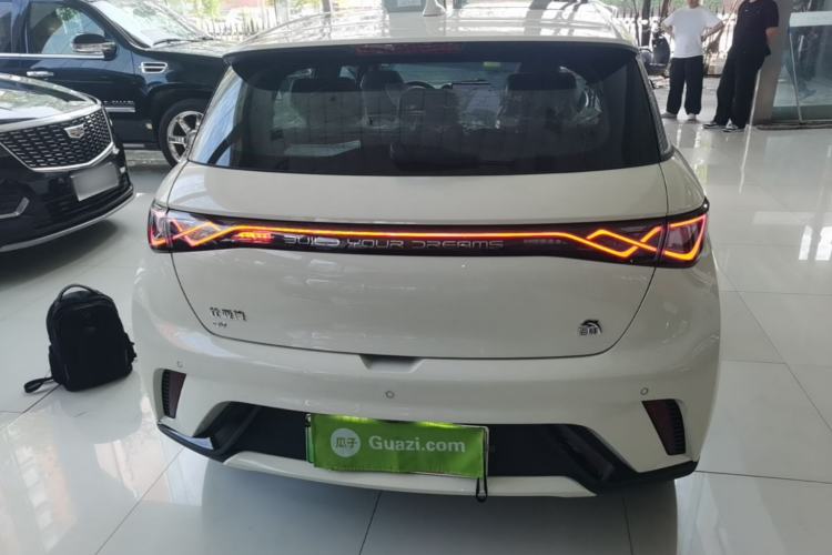 Used BYD Dolphin 2023 420 km Fashion Edition Rear