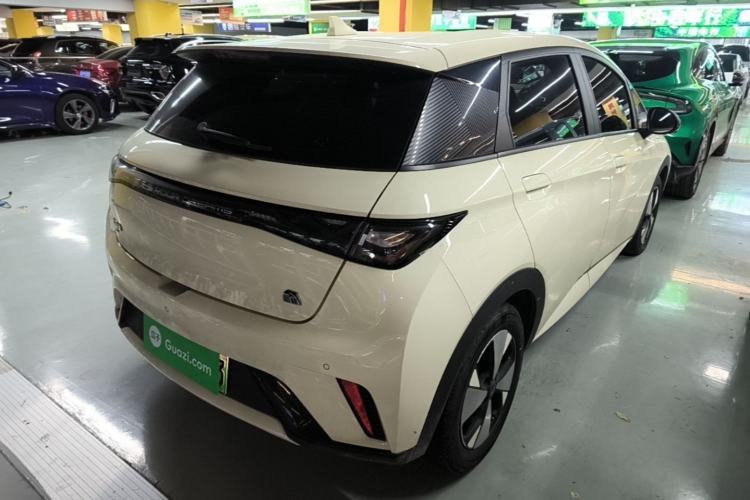 Used BYD Dolphin 2023 420 km Free Version Rear Right 45 Deg