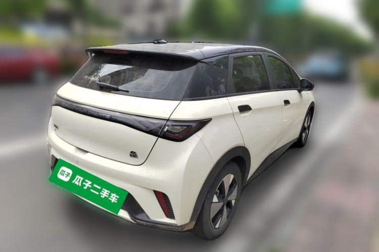Used BYD Dolphin 2023 420 km Fashion Edition Rear Right 45 Deg