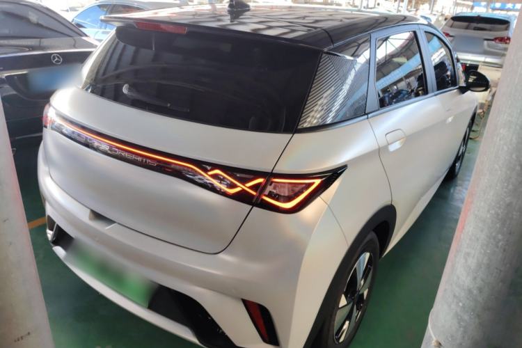 Used BYD Dolphin 2023 420 km Fashion Edition Rear Right 45 Deg