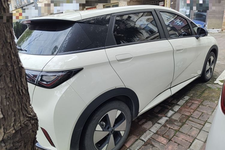 Used BYD Dolphin 2023 420 km Fashion Edition Rear Right 45 Deg