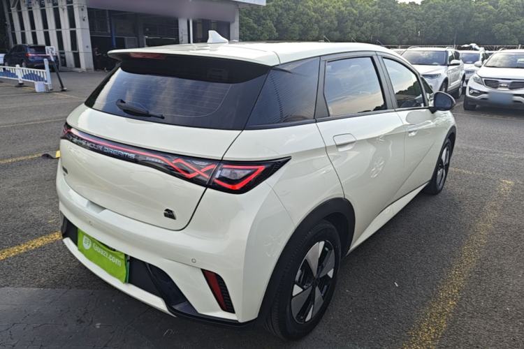 Used BYD Dolphin 2023 420 km Fashion Edition Rear Right 45 Deg