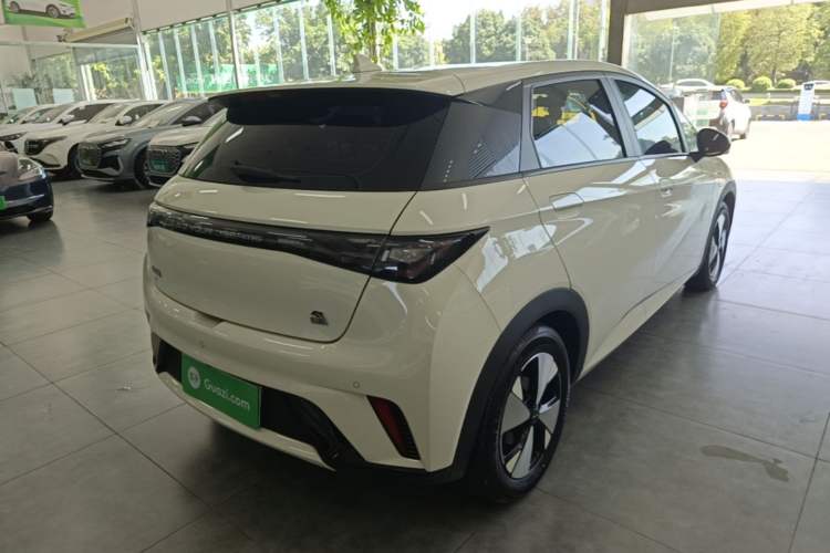 Used BYD Dolphin 2023 420 km Fashion Edition Rear Right 45 Deg