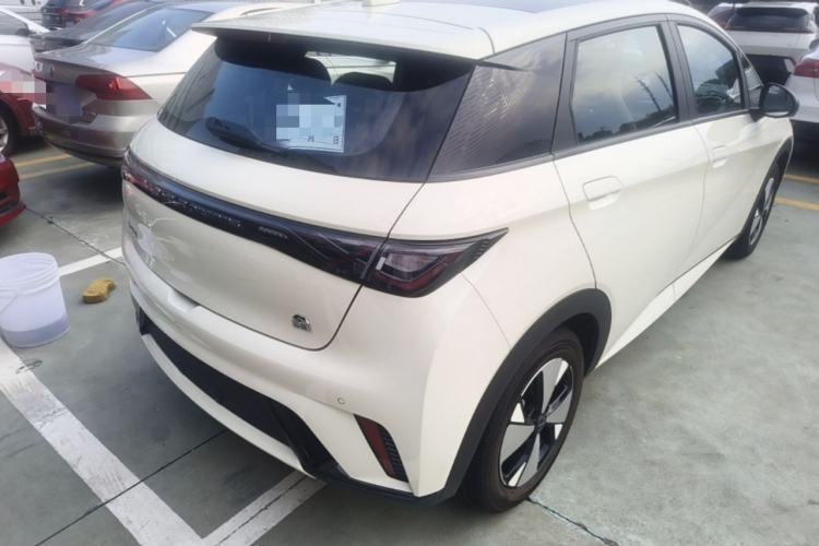 Used BYD Dolphin 2023 420 km Fashion Edition Rear Right 45 Deg