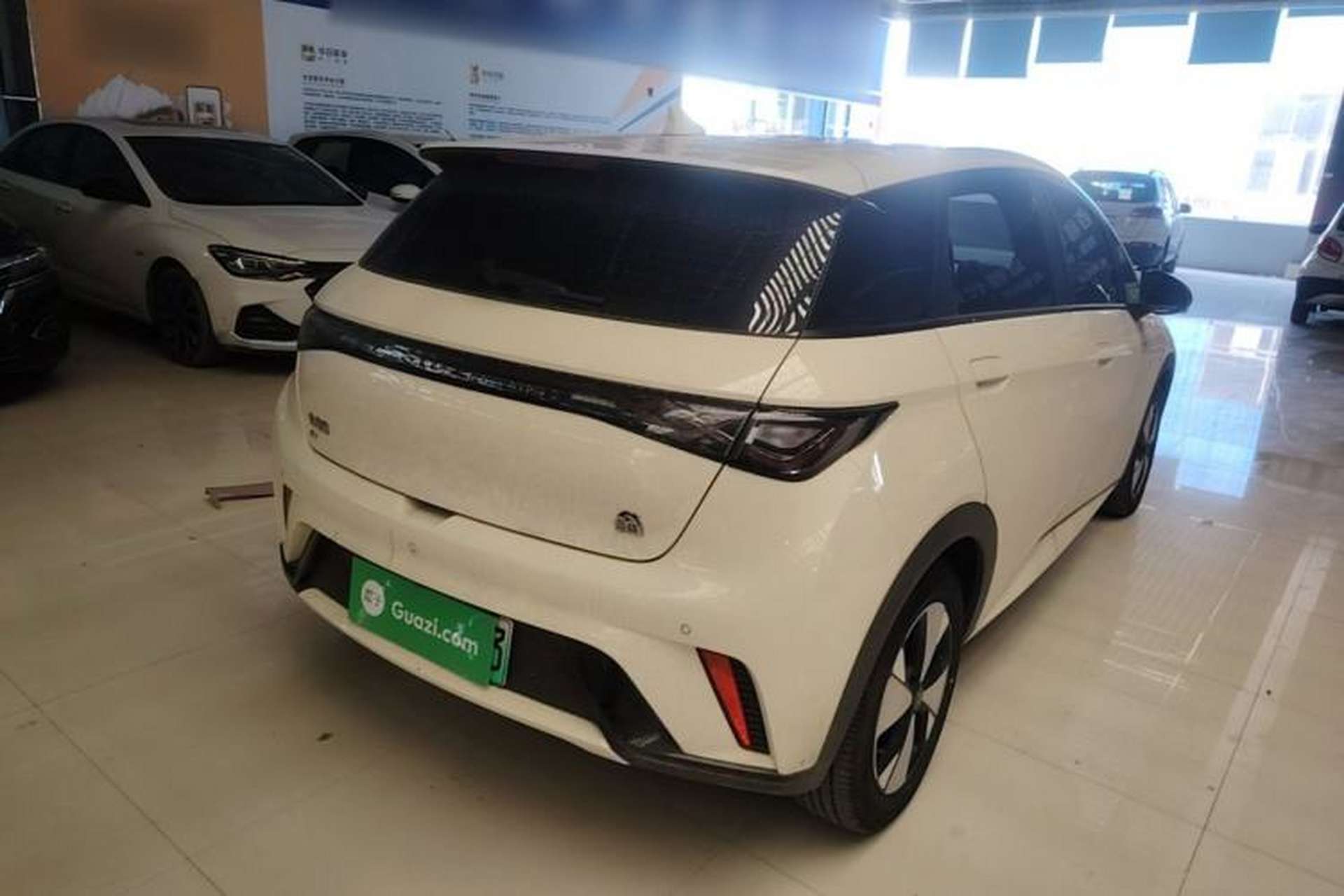 Used BYD Dolphin 2023 420 km Fashion Edition Rear Right 45 Deg