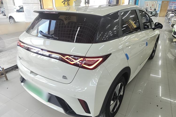 Used BYD Dolphin 2023 420 km Fashion Edition Rear Right 45 Deg