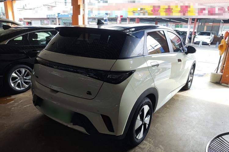 Used BYD Dolphin 2023 420 km Free Version Rear Right 45 Deg