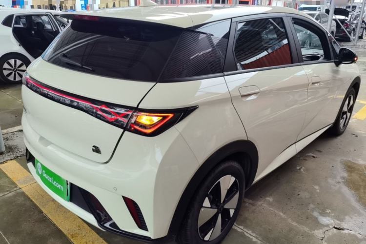 Used BYD Dolphin 2023 420 km Fashion Edition Rear Right 45 Deg