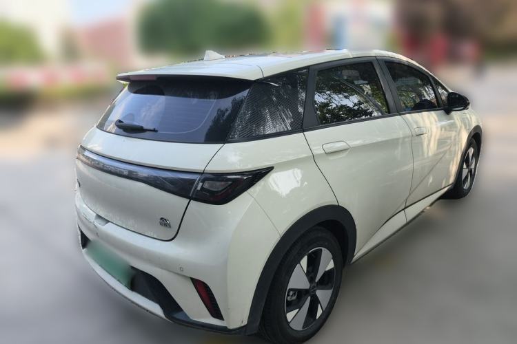 Used BYD Dolphin 2023 420 km Fashion Edition Rear Right 45 Deg