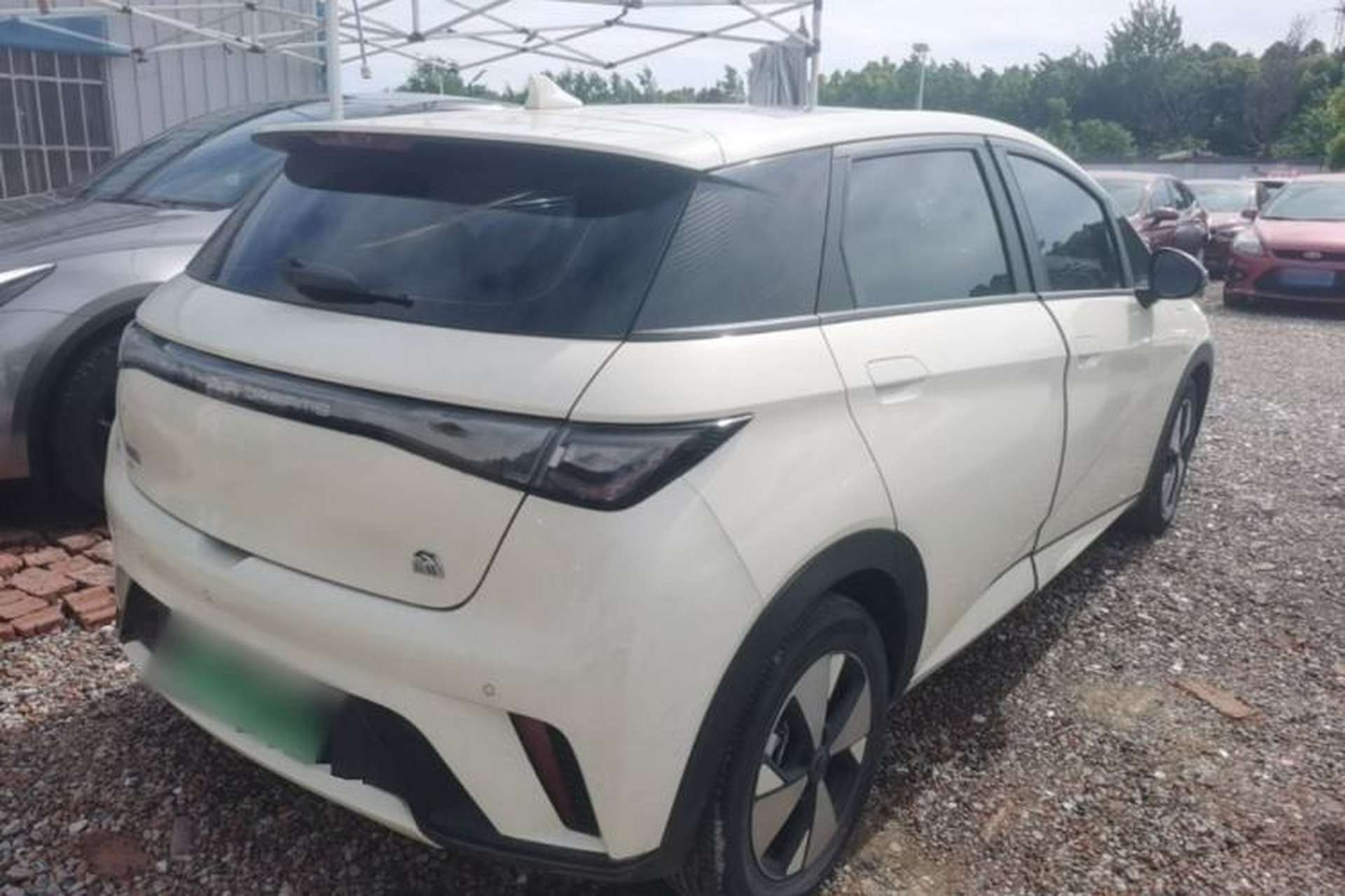 Used BYD Dolphin 2023 420 km Fashion Edition Rear Right 45 Deg