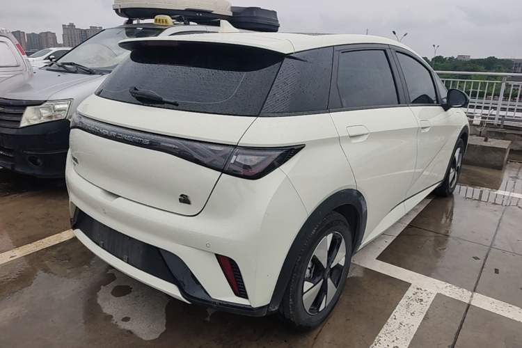 Used BYD Dolphin 2023 420 km Fashion Edition Rear Right 45 Deg