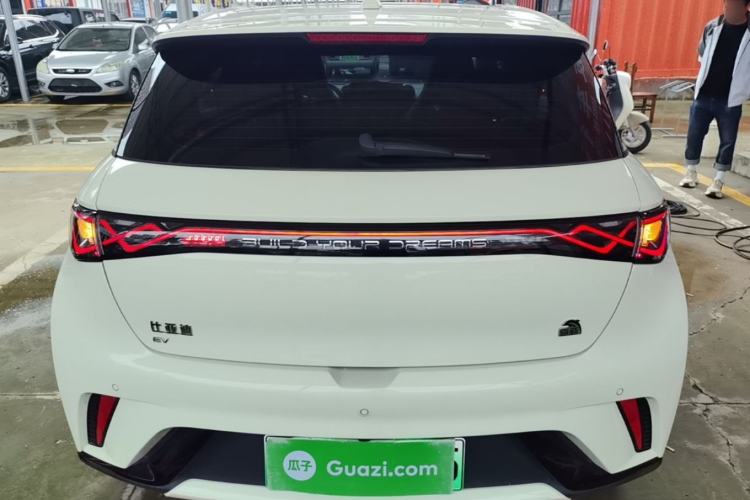 Used BYD Dolphin 2023 420 km Fashion Edition Rear
