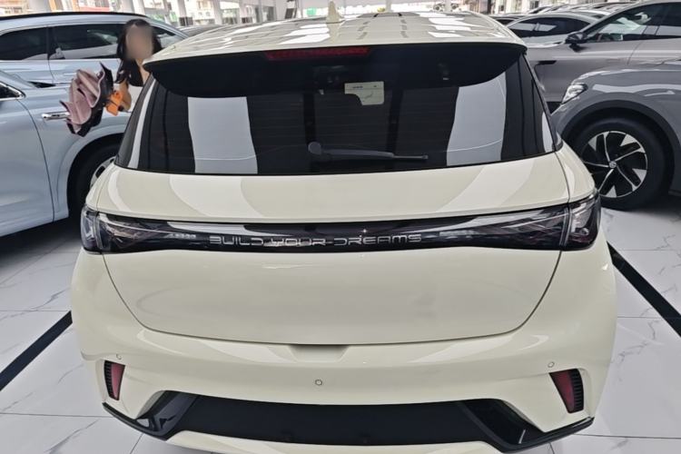 Used BYD Dolphin 2023 420 km Fashion Edition Rear