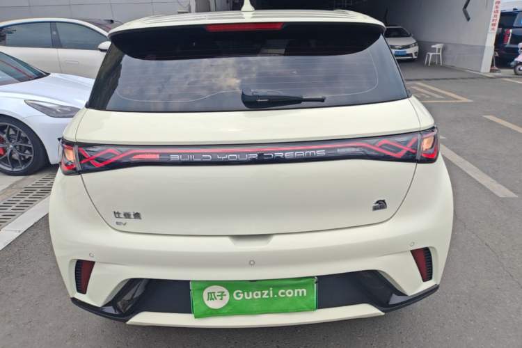 Used BYD Dolphin 2023 420 km Fashion Edition Rear
