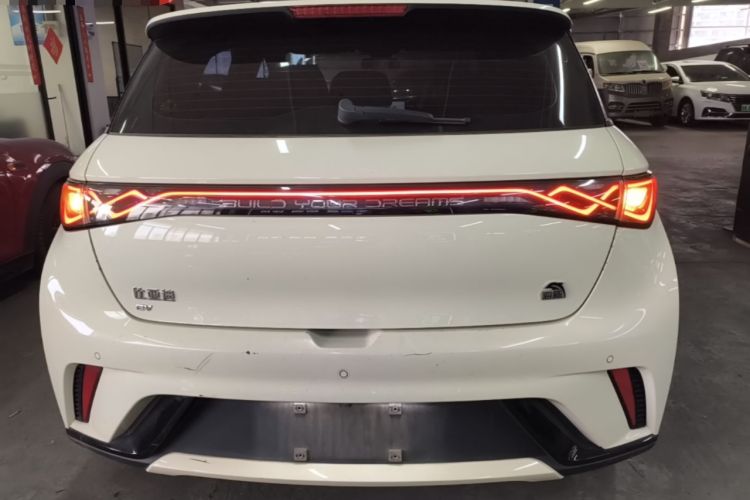 Used BYD Dolphin 2023 420 km Fashion Edition Rear