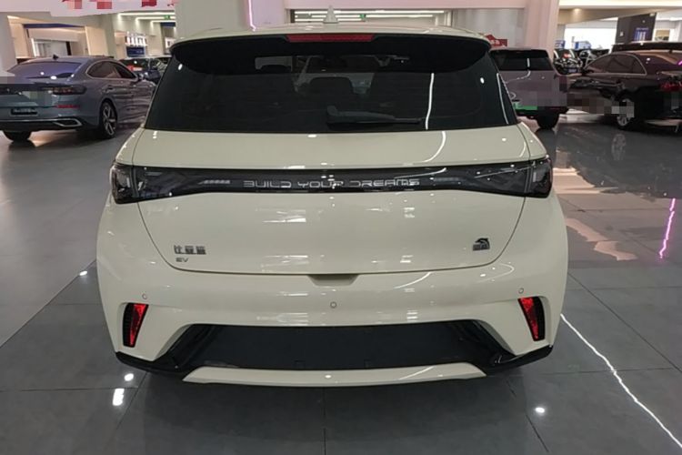 Used BYD Dolphin 2023 420 km Fashion Edition Rear