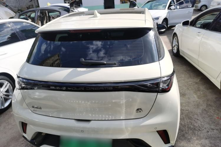 Used BYD Dolphin 2023 420 km Fashion Edition Rear