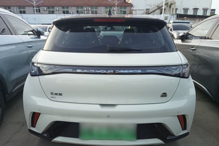 Used BYD Dolphin 2023 420 km Fashion Edition Rear