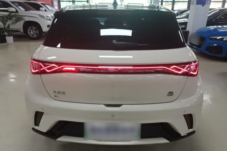 Used BYD Dolphin 2023 420 km Fashion Edition Rear
