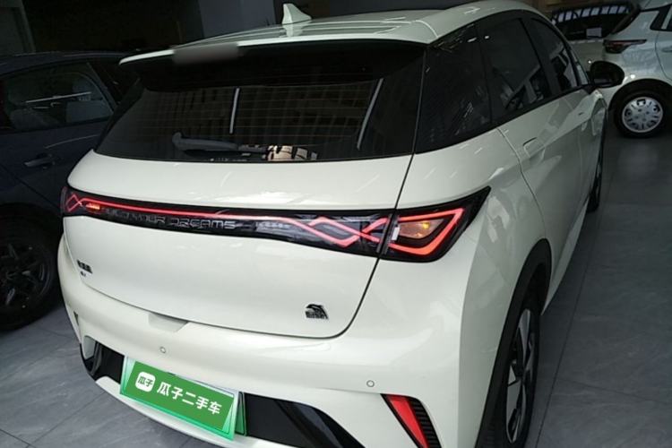 Used BYD Dolphin 2023 420 km Free Version Rear
