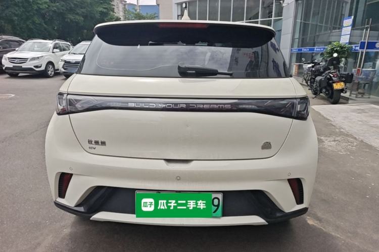 Used BYD Dolphin 2023 420 km Fashion Edition Rear