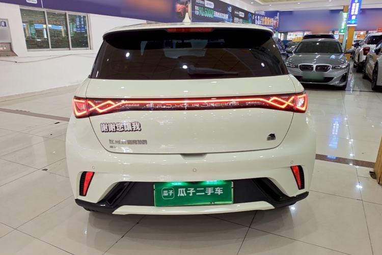 Used BYD Dolphin 2023 420 km Free Version Rear