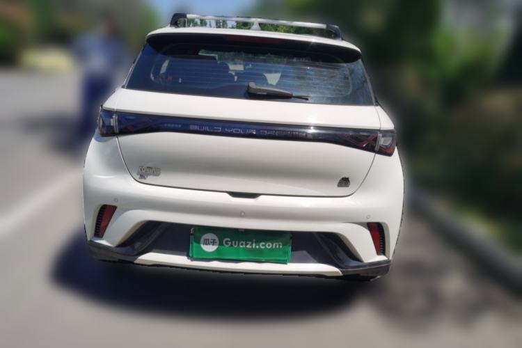 Used BYD Dolphin 2023 420 km Free Version Rear