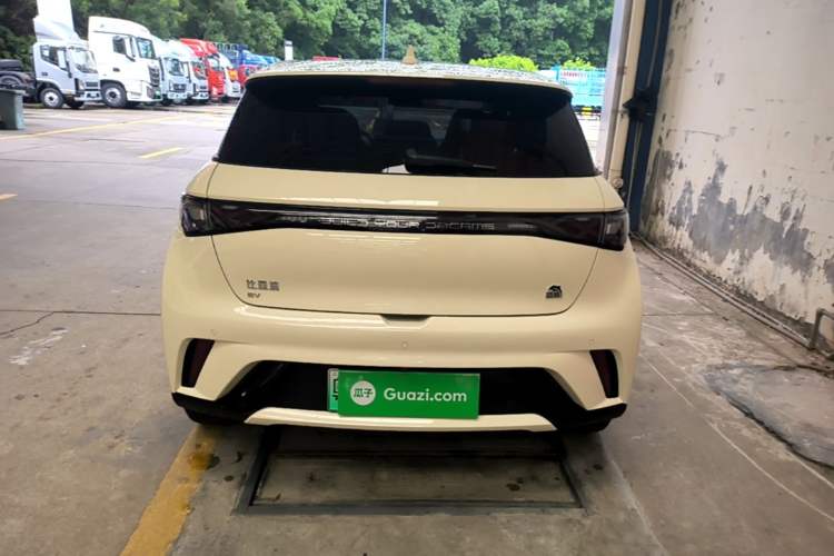 Used BYD Dolphin 2023 420 km Fashion Edition Rear