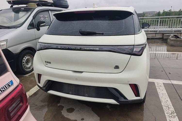 Used BYD Dolphin 2023 420 km Fashion Edition Rear
