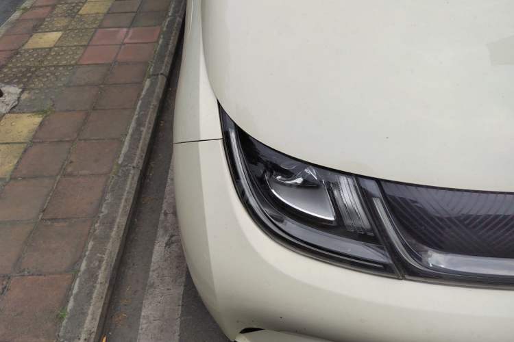 Used BYD Dolphin 2023 420 km Fashion Edition Right Front Headlight