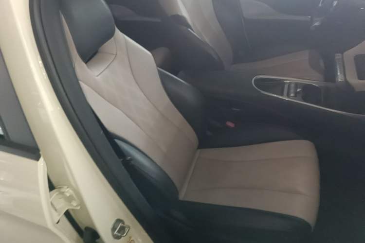 Used BYD Dolphin 2023 420 km Fashion Edition Right Front Seat