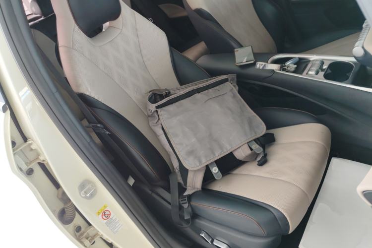 Used BYD Dolphin 2023 420 km Fashion Edition Right Front Seat