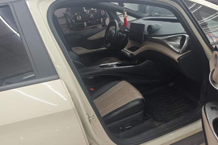 Used BYD Dolphin 2023 420 km Fashion Edition Right Front Seat
