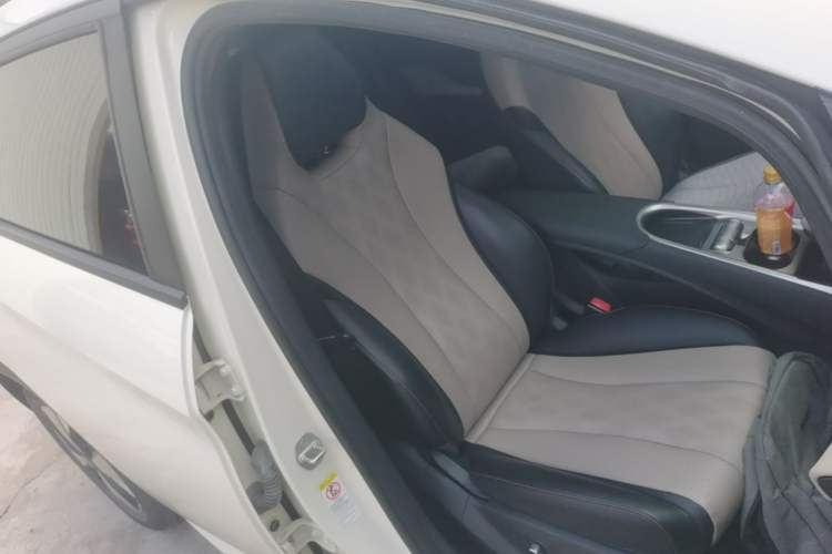 Used BYD Dolphin 2023 420 km Fashion Edition Right Front Seat