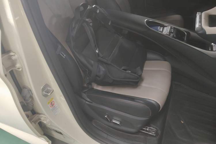 Used BYD Dolphin 2023 420 km Fashion Edition Right Front Seat