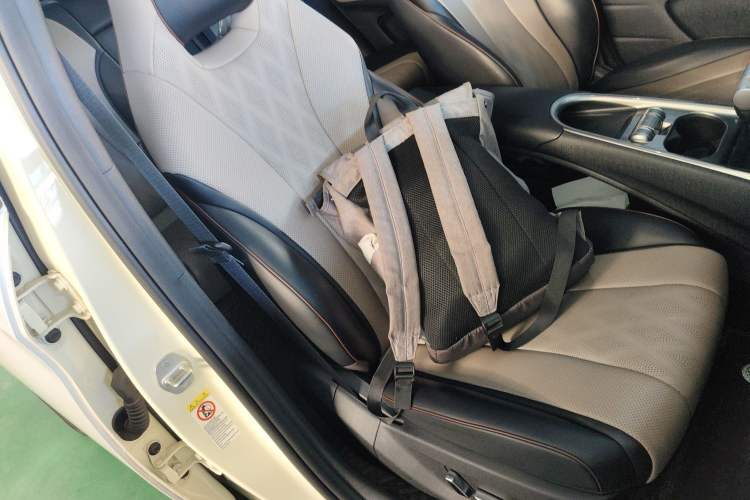 Used BYD Dolphin 2023 420 km Fashion Edition Right Front Seat