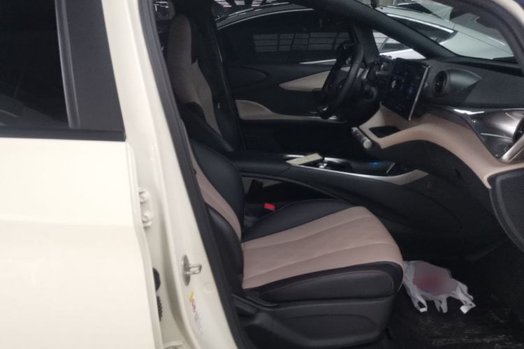 Used BYD Dolphin 2023 420 km Free Version Right Front Seat