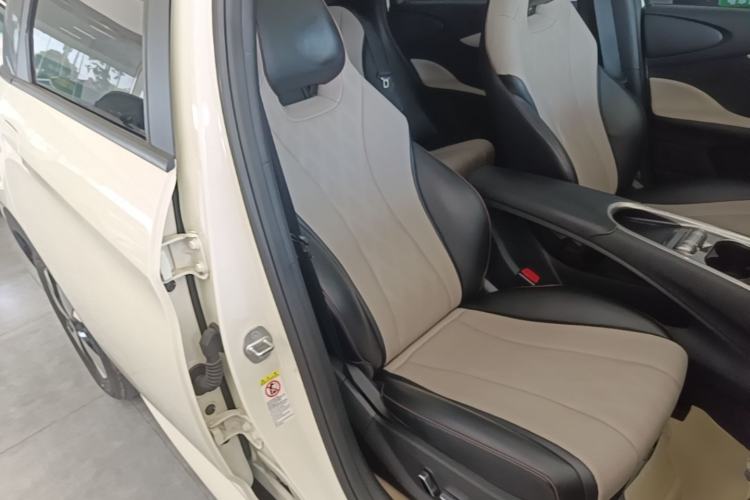 Used BYD Dolphin 2023 420 km Fashion Edition Right Front Seat