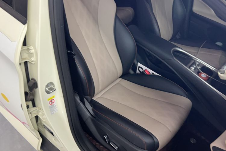 Used BYD Dolphin 2023 420 km Fashion Edition Right Front Seat