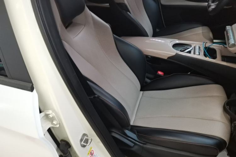 Used BYD Dolphin 2023 420 km Free Version Right Front Seat