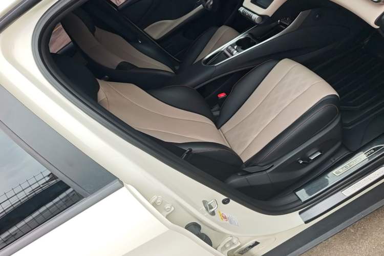 Used BYD Dolphin 2023 420 km Fashion Edition Right Front Seat