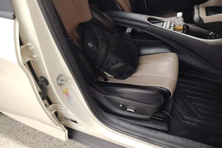 Used BYD Dolphin 2023 420 km Fashion Edition Right Front Seat