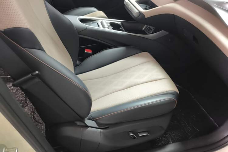 Used BYD Dolphin 2023 420 km Fashion Edition Right Front Seat